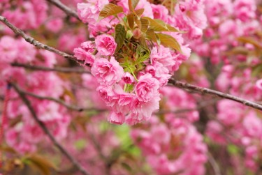 苏州相城区线下个人借款平台一站式服务，轻松解决资金难题