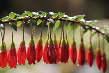 苏州相城区零用贷短借：轻松解决临时资金需求