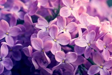 苏州相城区企业急用钱贷款攻略：快速融资解燃眉之急